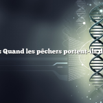 Question : Quand les pêchers portent-ils des fruits ?
